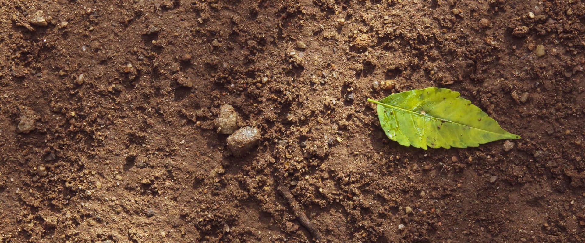 單四極桿氣相色譜質(zhì)譜聯(lián)用儀-安益譜GC-MS 7600/7700系列產(chǎn)品：土壤固廢檢測的高效解決方案(圖3)