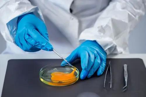 安益譜GC/MS產(chǎn)品：助力電子電氣行業(yè)精準(zhǔn)測(cè)定增塑劑含量(圖2)